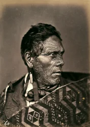 Portrait of a Maori with a tattooed face, c.1886-88